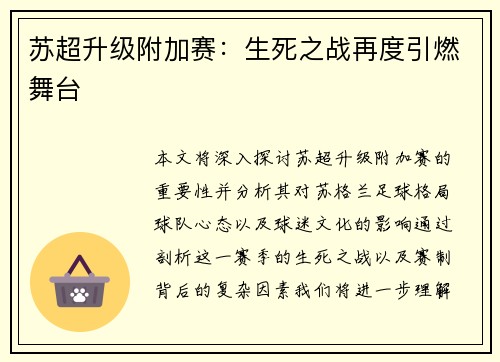 苏超升级附加赛：生死之战再度引燃舞台